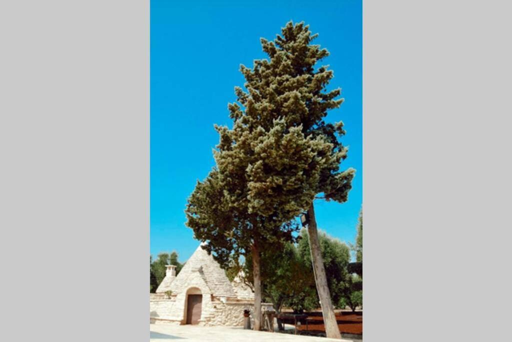 Trulli Monteforte Villa Castelli Luaran gambar